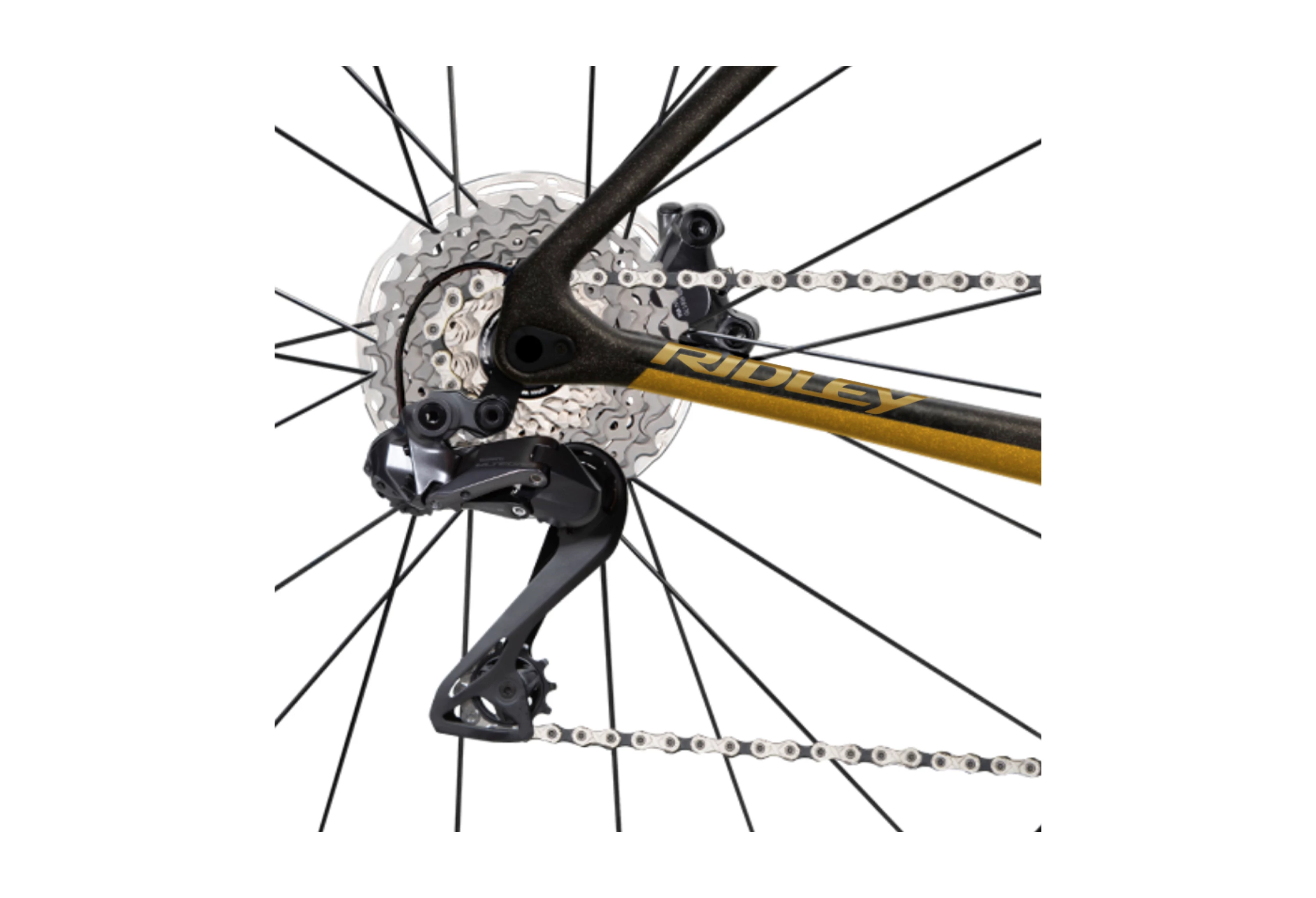 Ridley Guld Noah Fast Disc Ultegra DI2