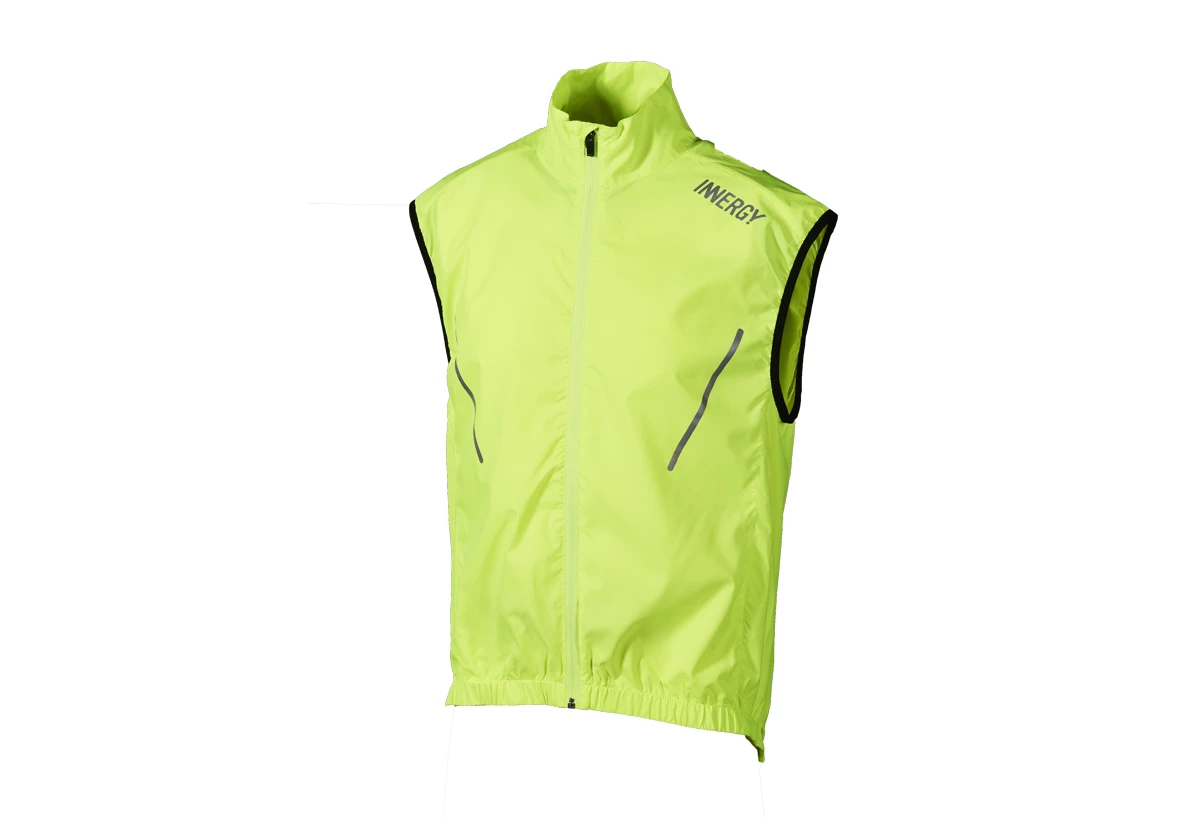Vindvest
