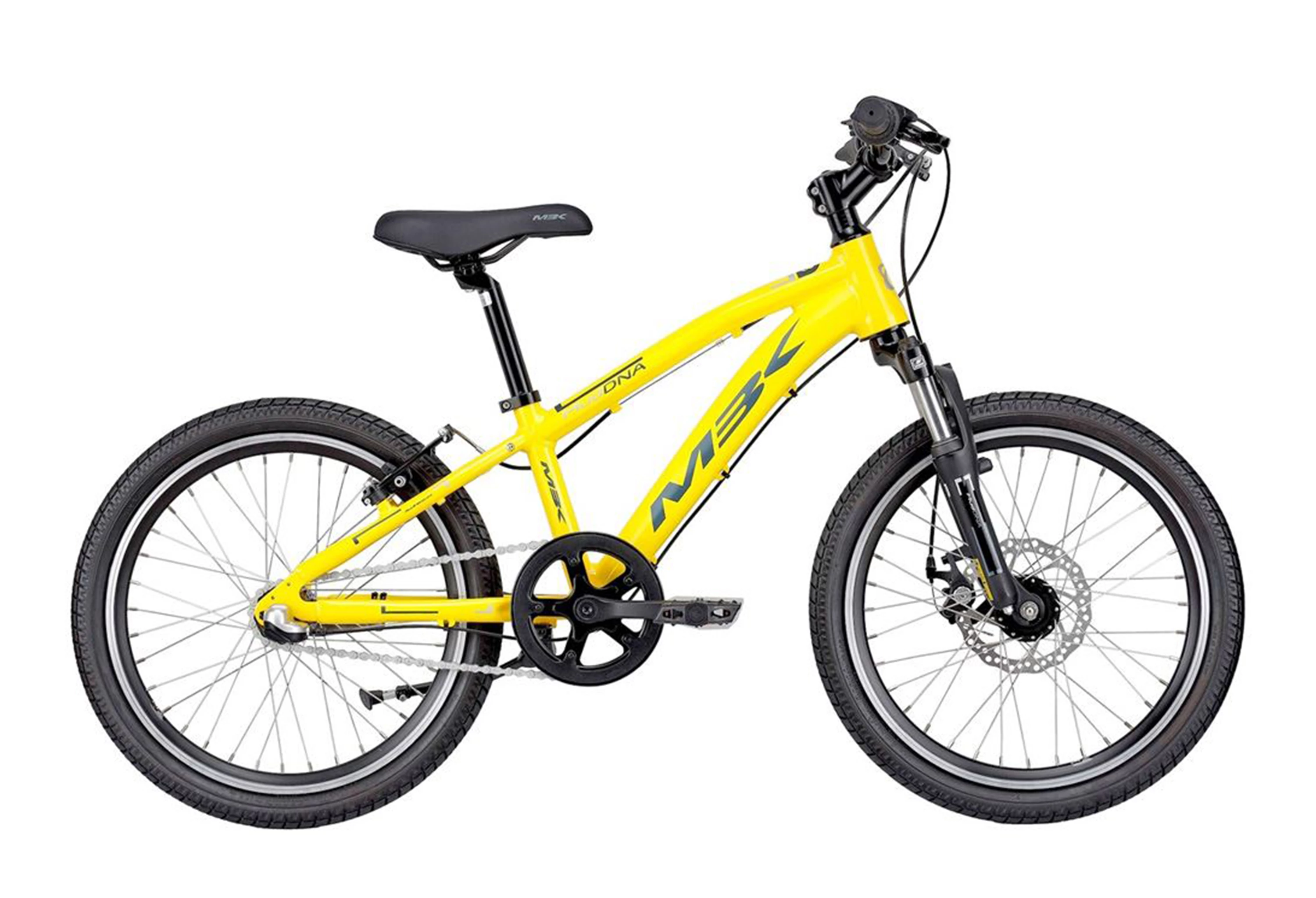 MBK Gul Mud DNA