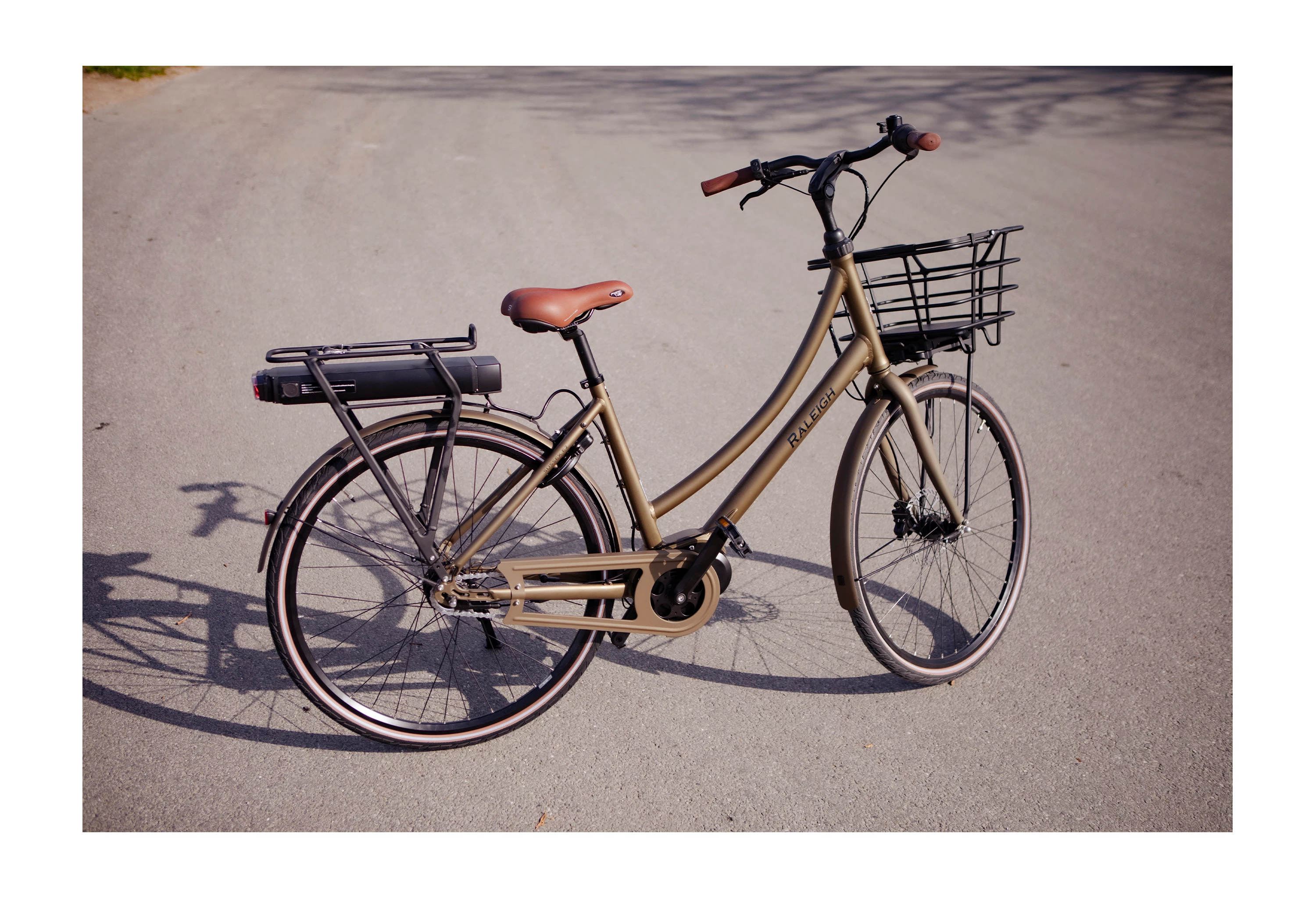 Raleigh Sand Sussex E2