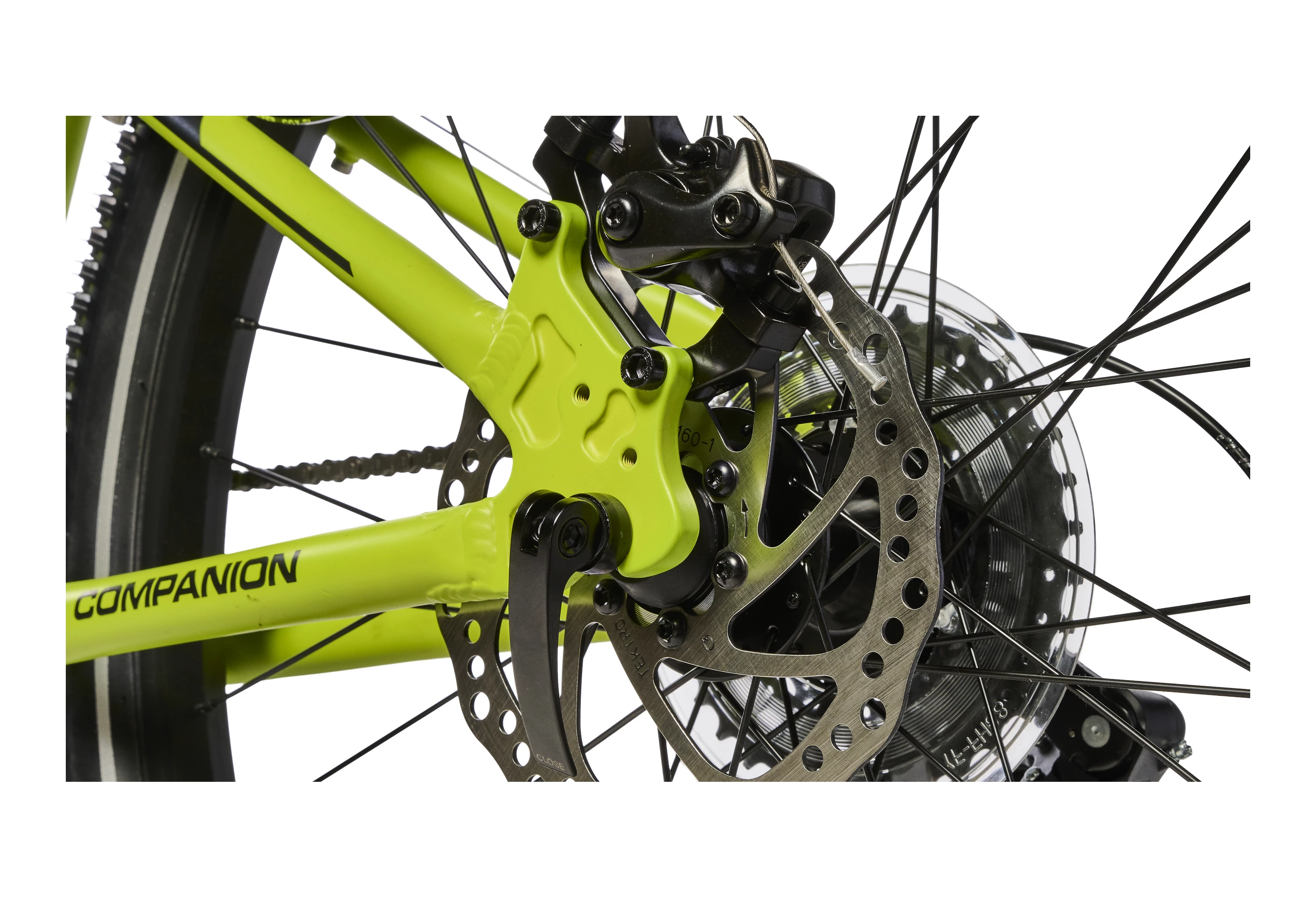Companion Lime Grøn M1.24