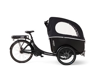 Cargoo Auto-3