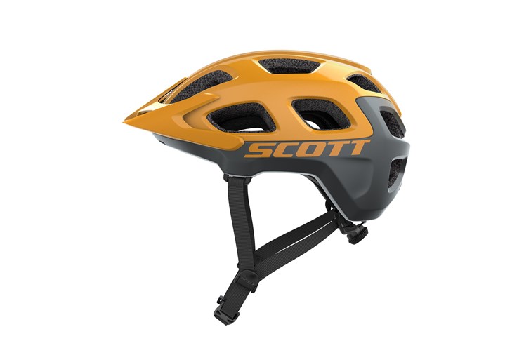 vivo scott 2