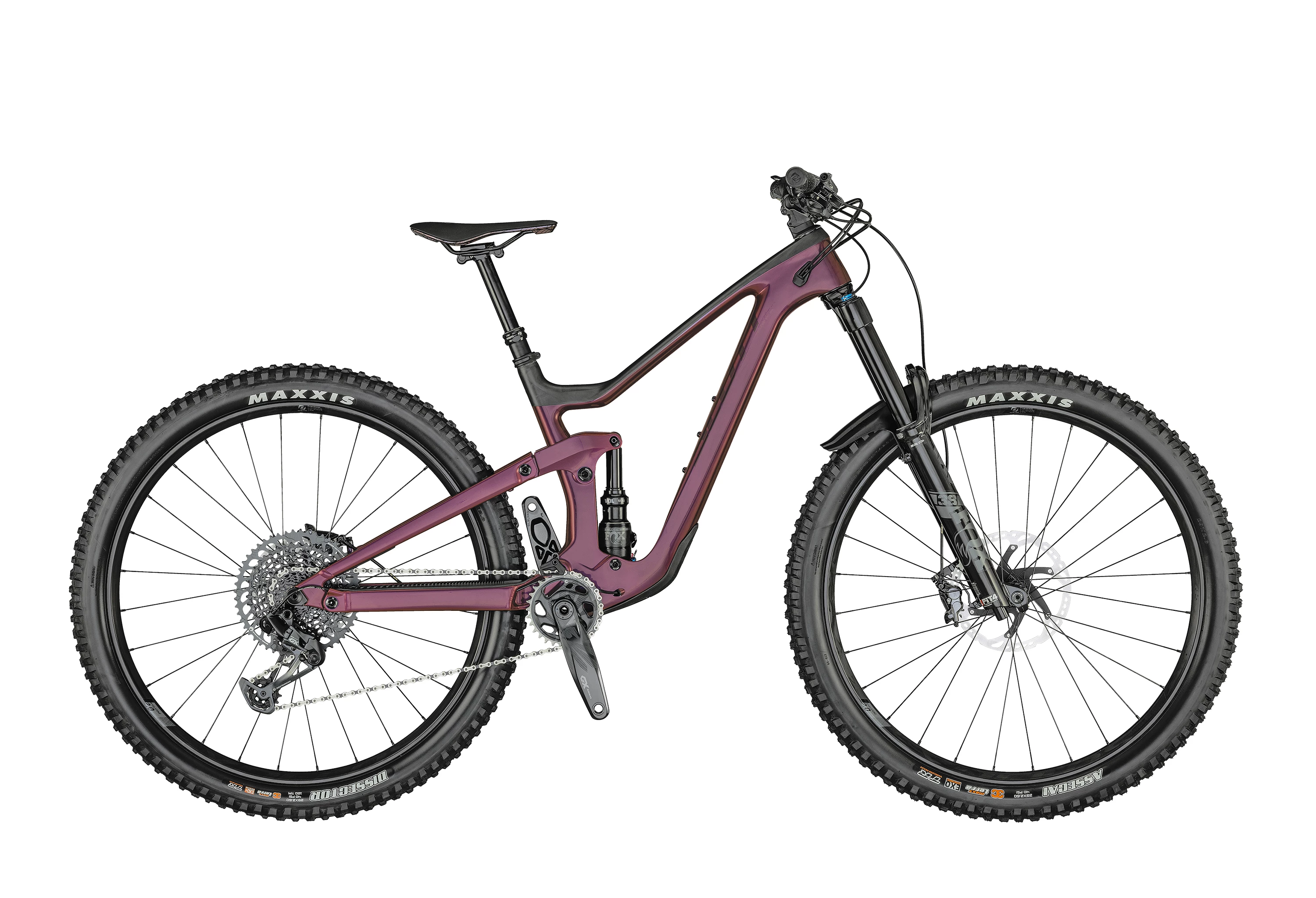 SCOTT Lilla Contessa Ransom 910