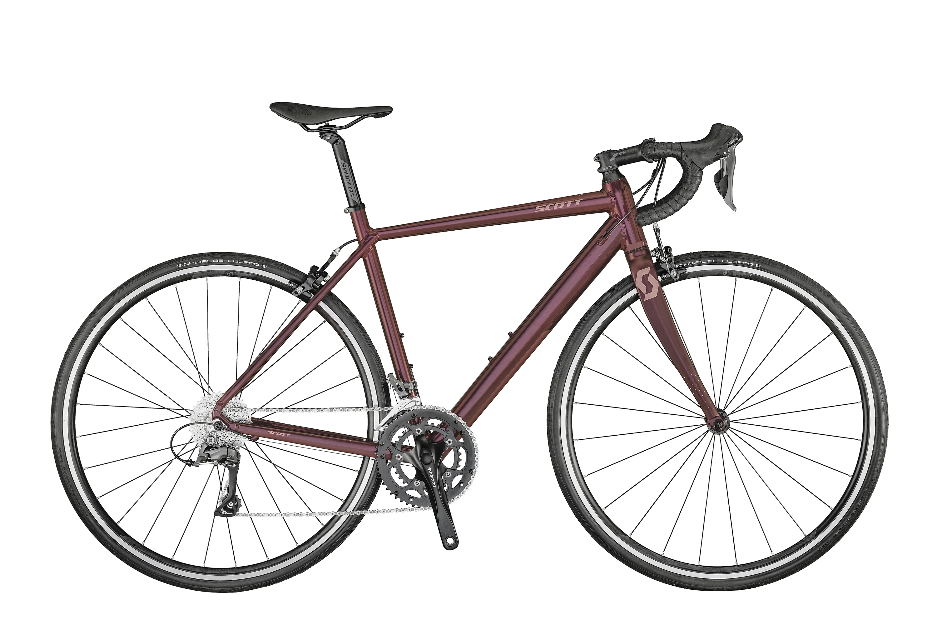 SCOTT Lilla Contessa Speedster 25