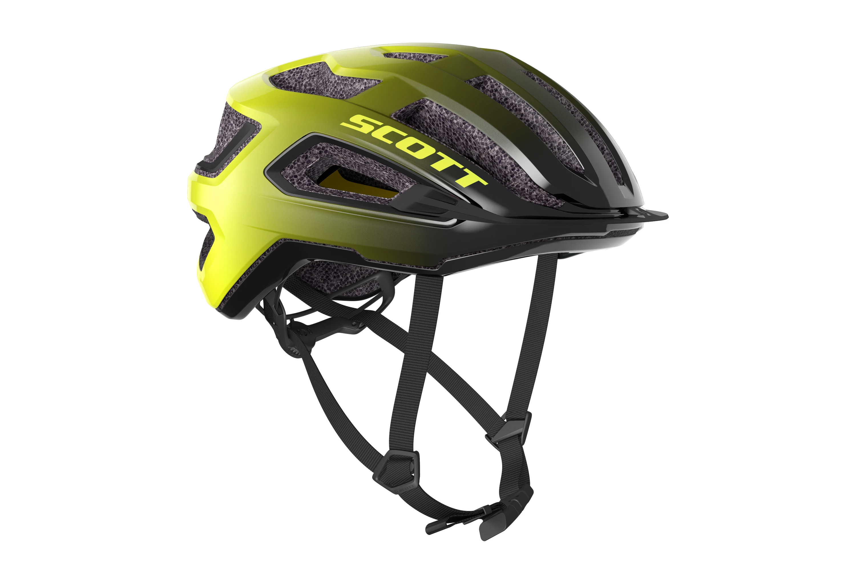Arx Plus