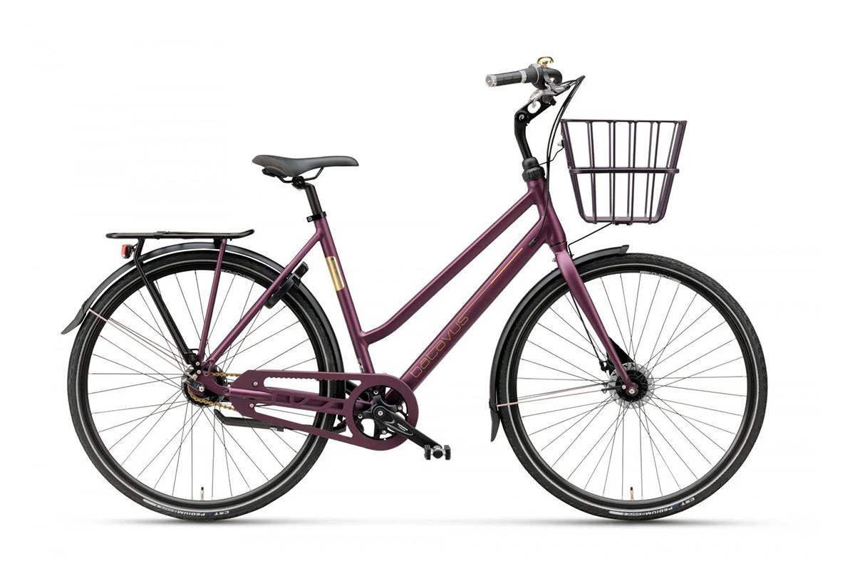 Batavus Lilla Harlem