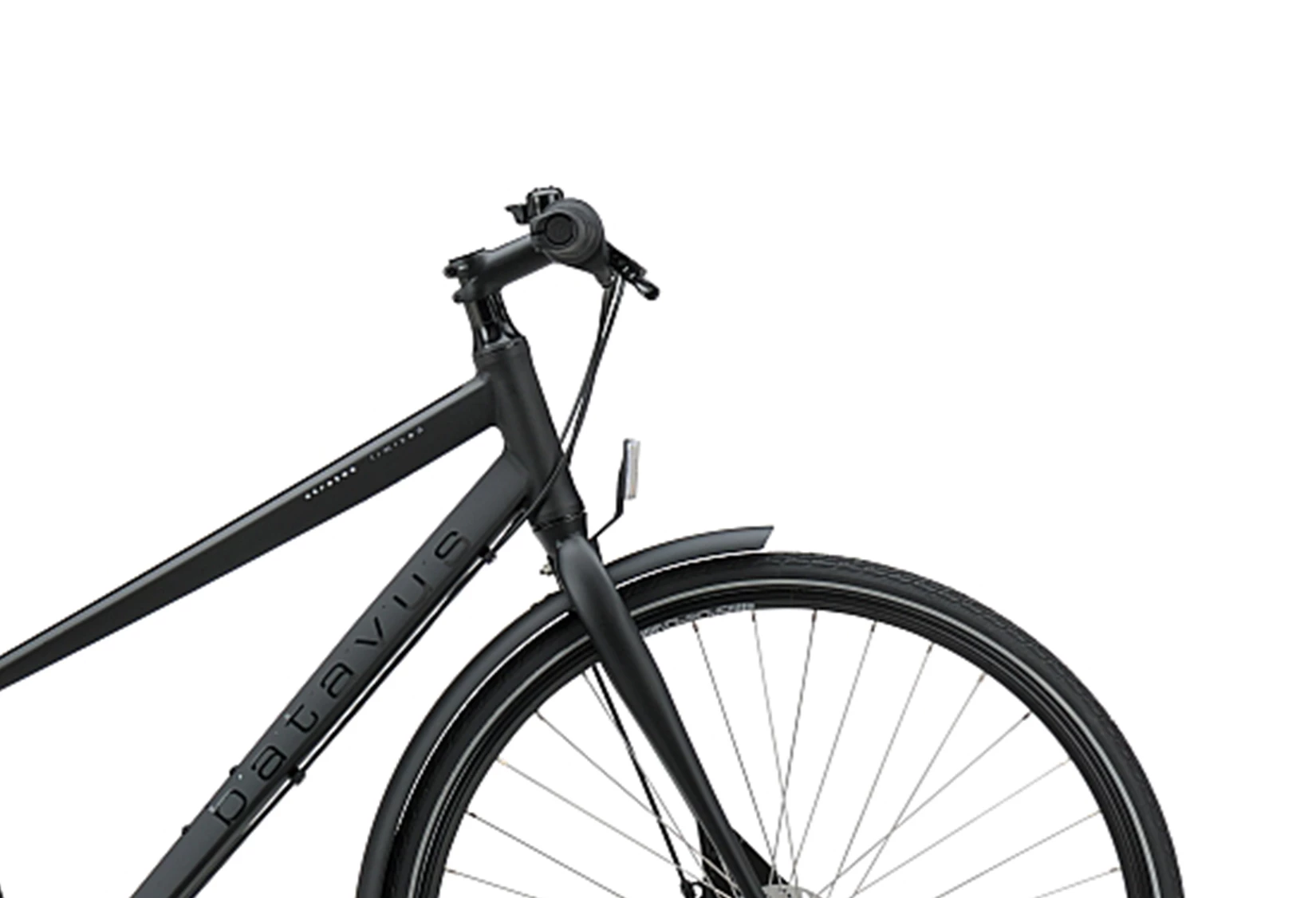 Batavus Sort Stratos Limited