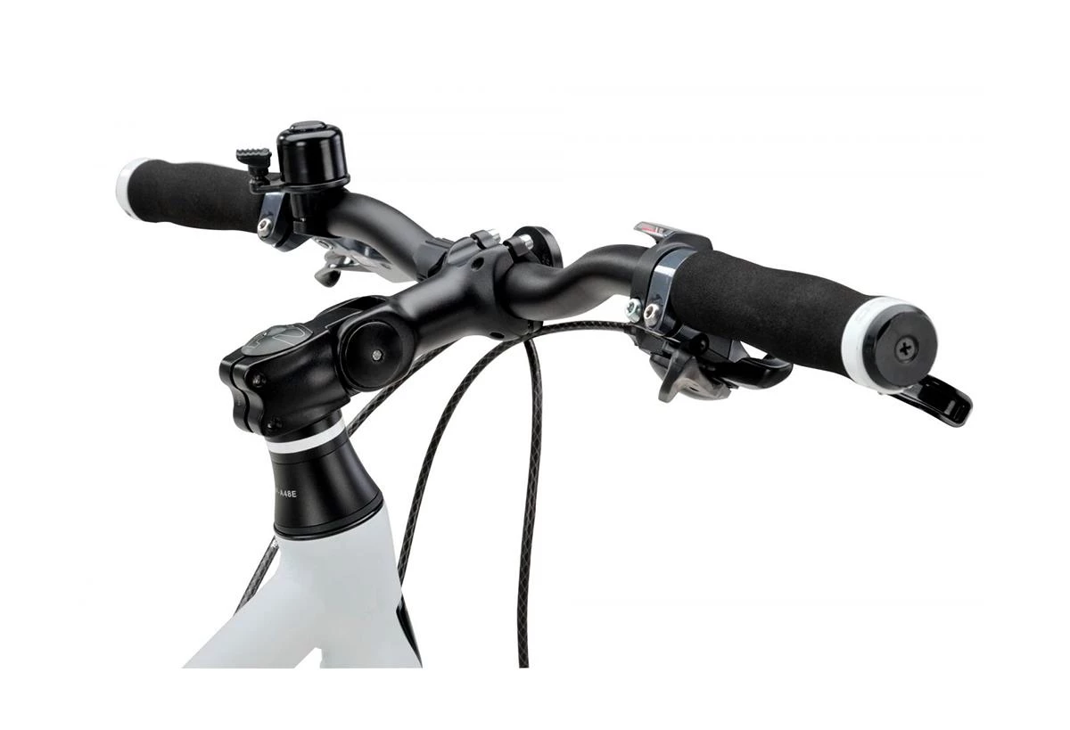 Batavus Sort Atmos 4.1