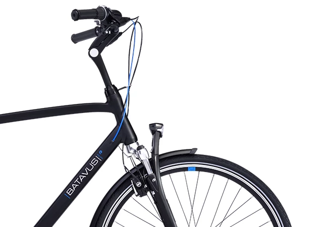 Batavus Sort Agudo