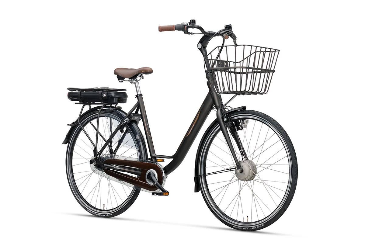 Batavus Brun Torino EGO