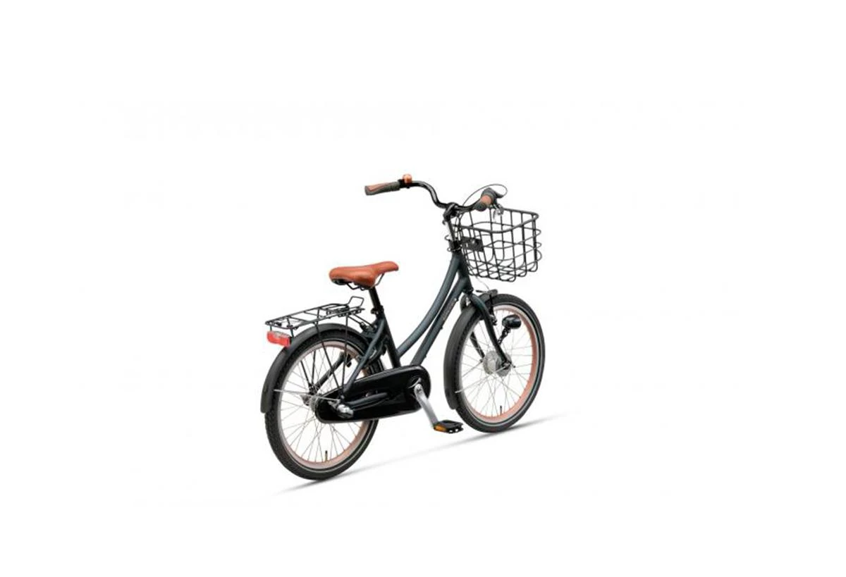 Batavus Grøn Bronx 24"
