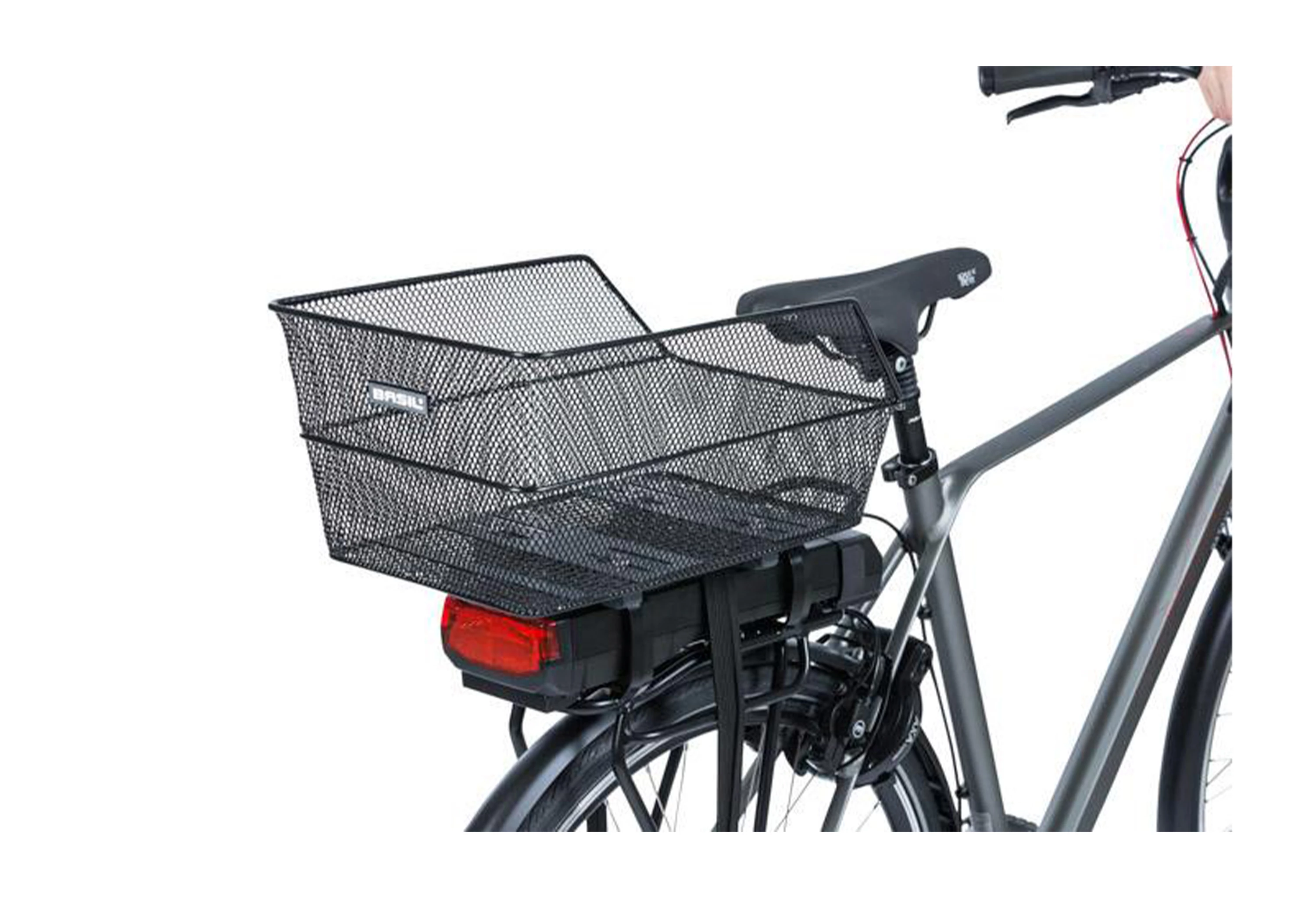 Basil Sort Cento NX WSL
