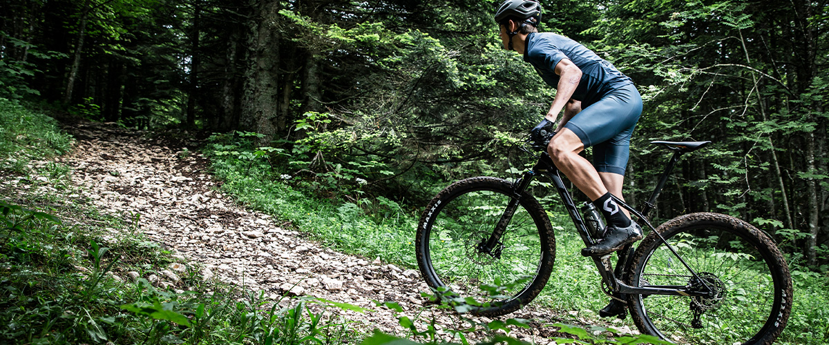 MTB
