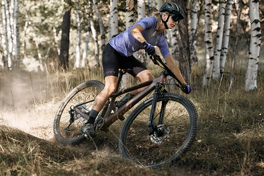 Cykeltype MTB