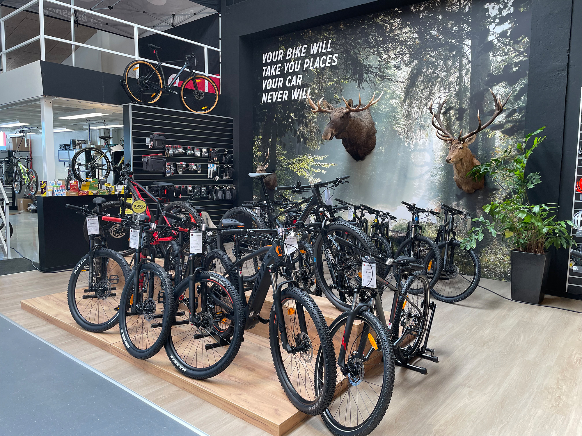 Fri Bikeshop Silkeborg Mountainbikes