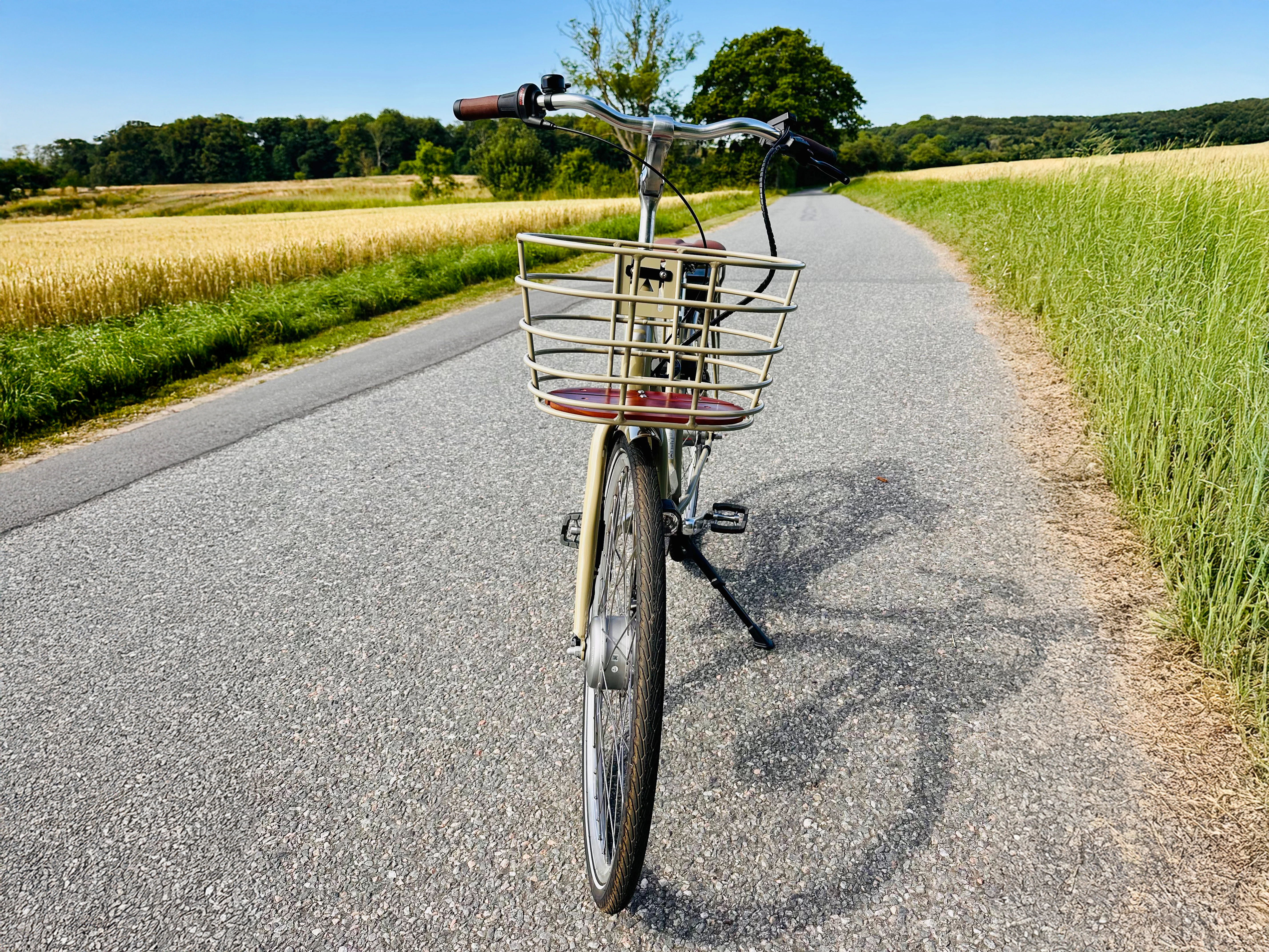 Companion E1.0 Elcykel I Naturomgivelser