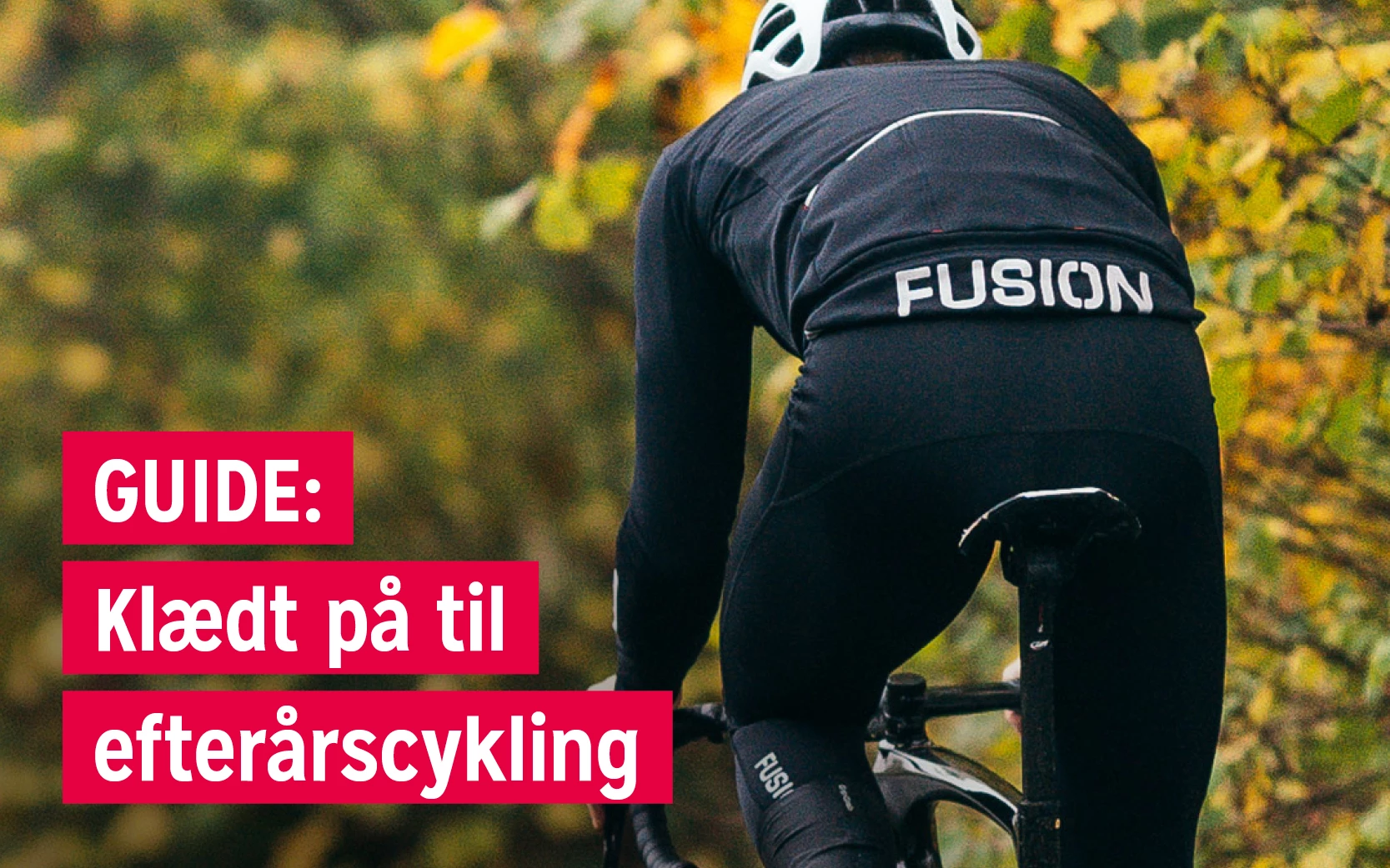 Artikler Oktober2