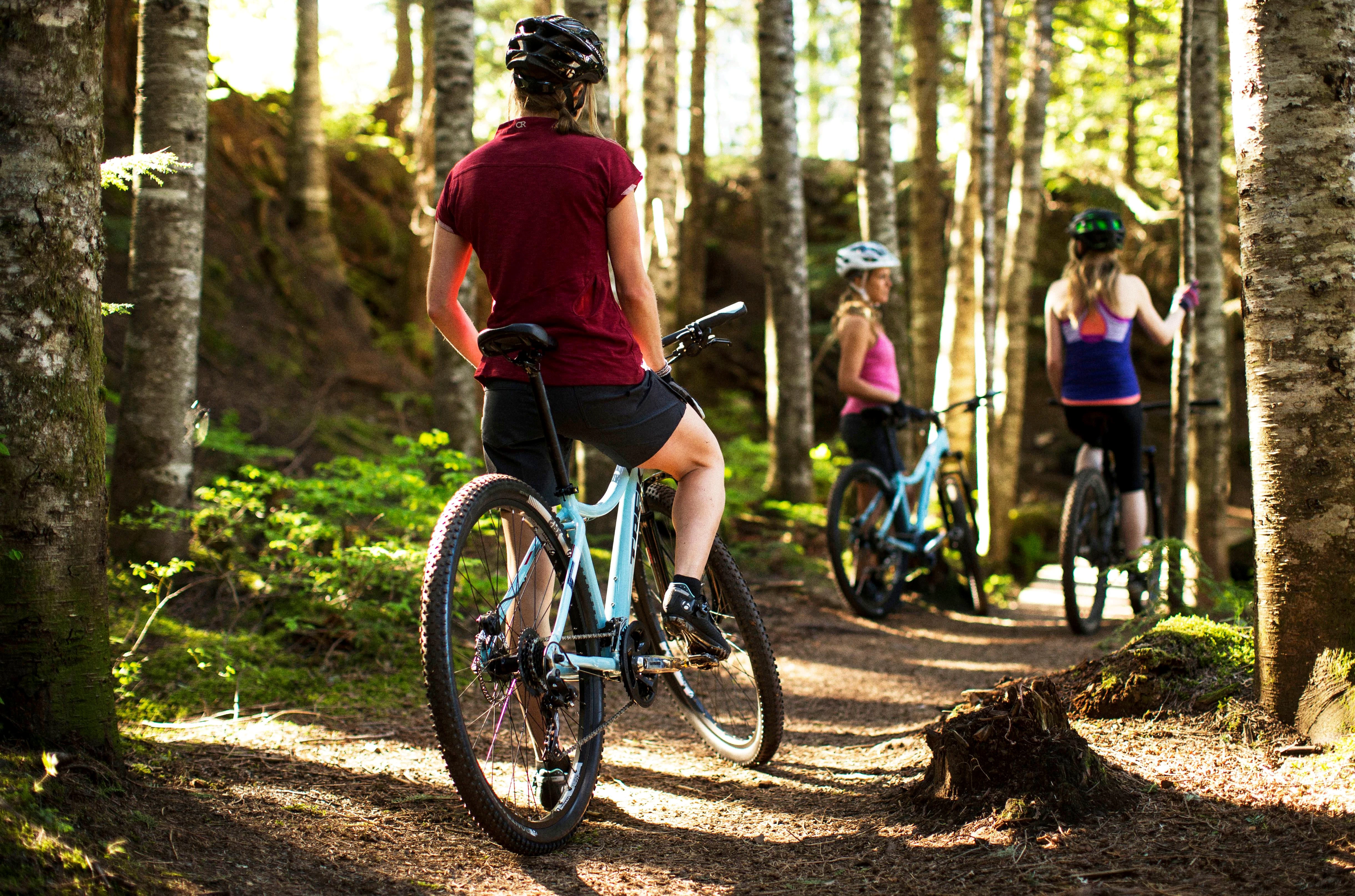 Pages Tips Tricks Valg Af Cykel Valg Af Mtb Stelmateriale Mtb Women