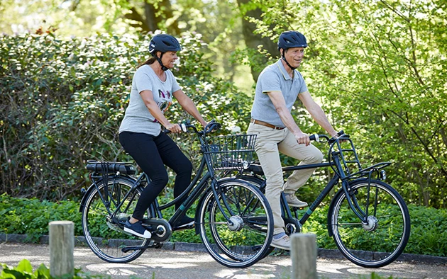 Ældre Par Der Cykler I Natur På Elcykler