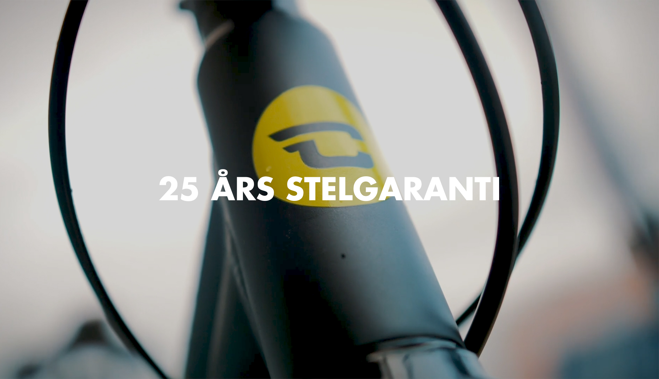 Pages Companion 25 Aars Stelgaranti