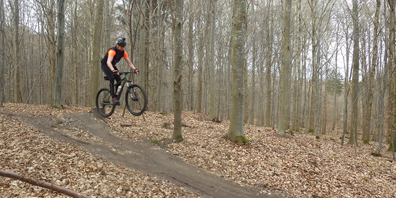 Pages Tips Tricks COMPANION Mountainbike