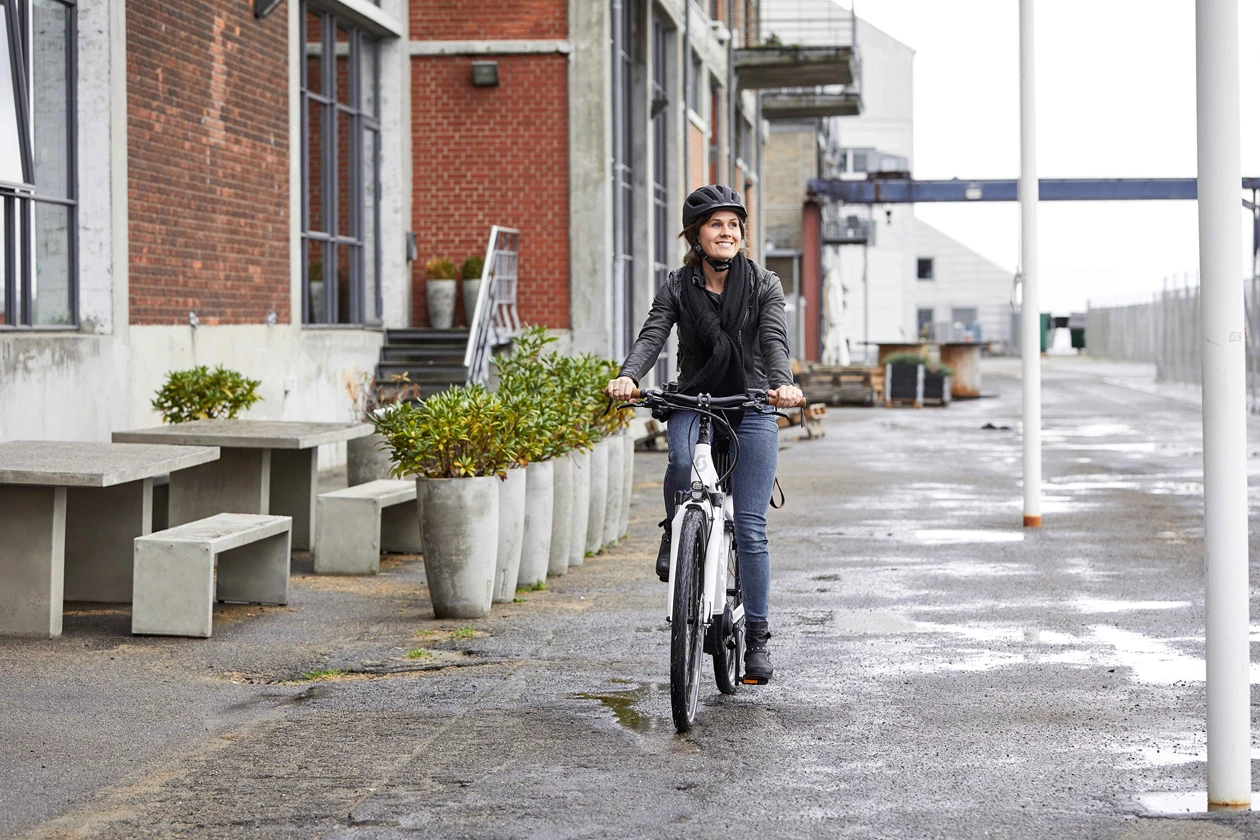 Pages Tips Tricks FBS CITYBIKE EL 007Mindre
