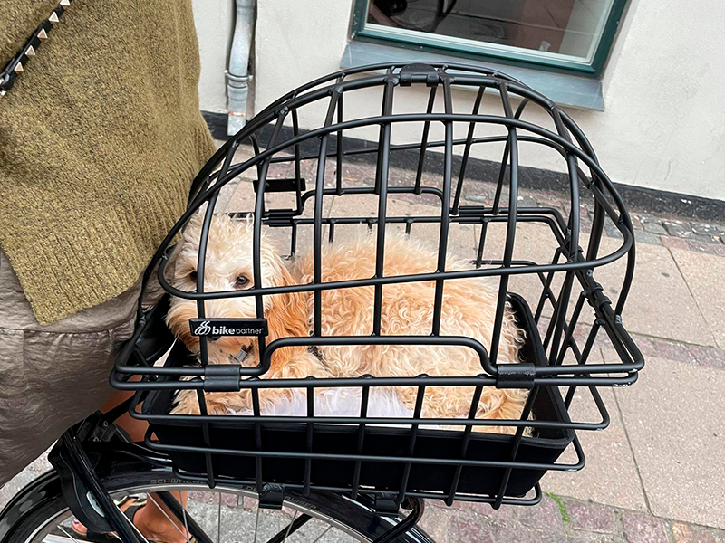 Hunde Cykelkurv Test