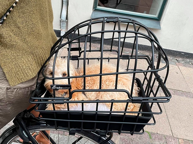 Hunde Cykelkurv Test