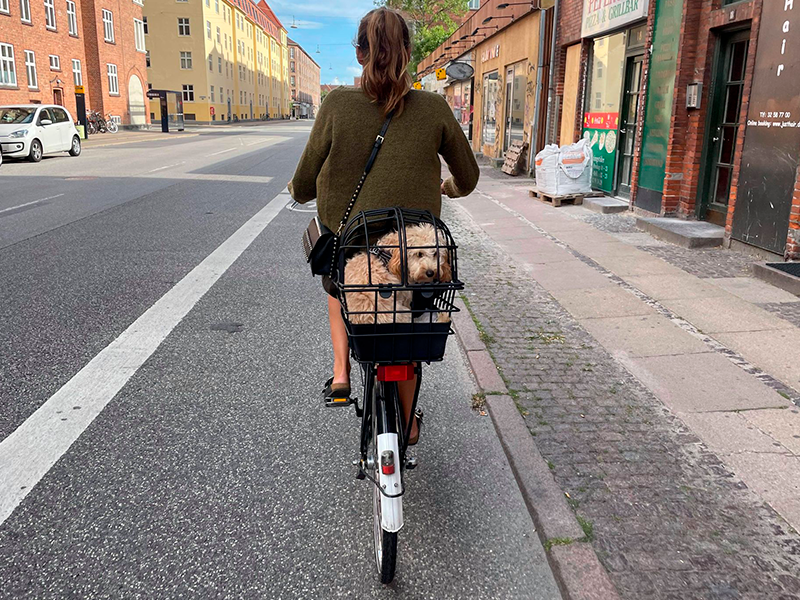 Cykel Hundekurv Test
