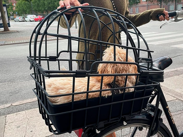 Cykel Hundelurv Anmeldelse