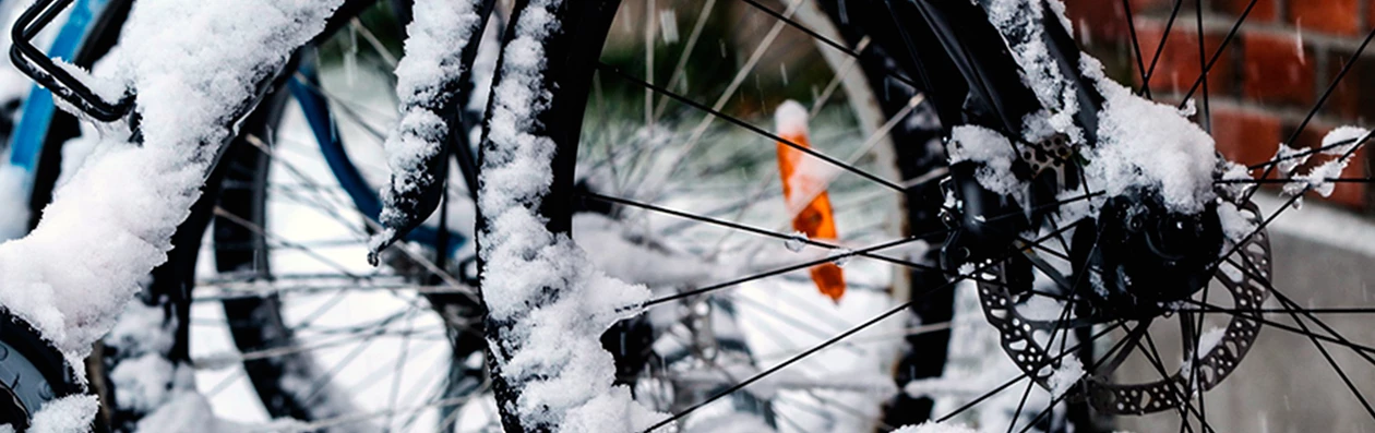 En Cykel Med Sne Og Frost