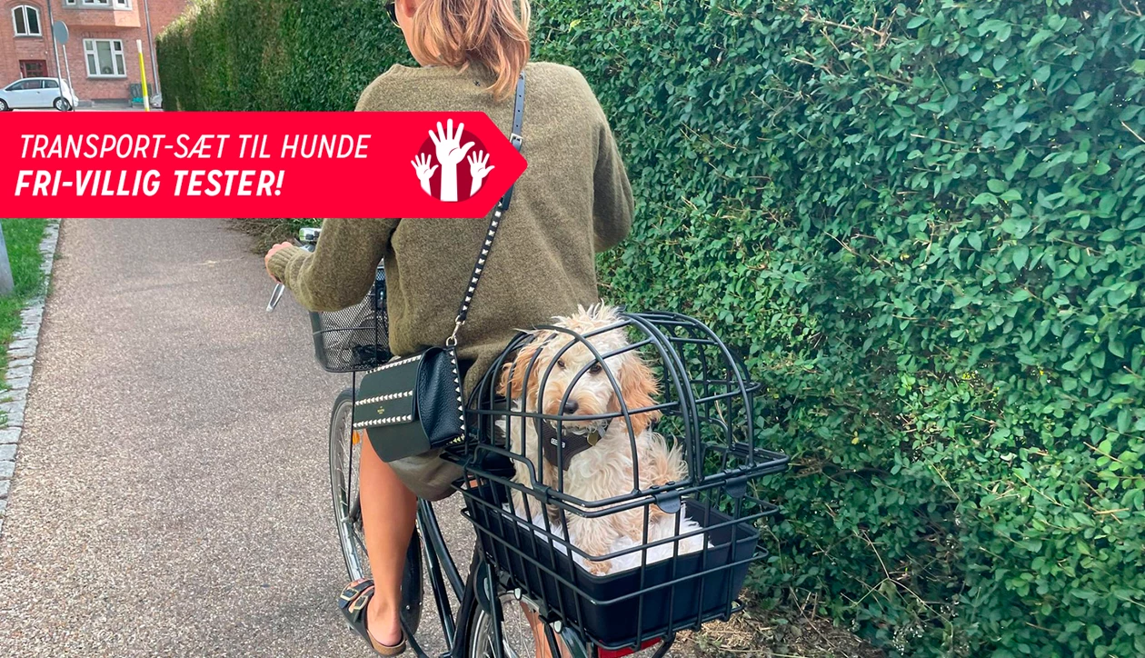 Transport Sæt Hund