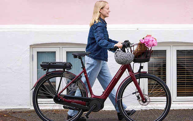 Kør Sikkert På Din Elcykel 3
